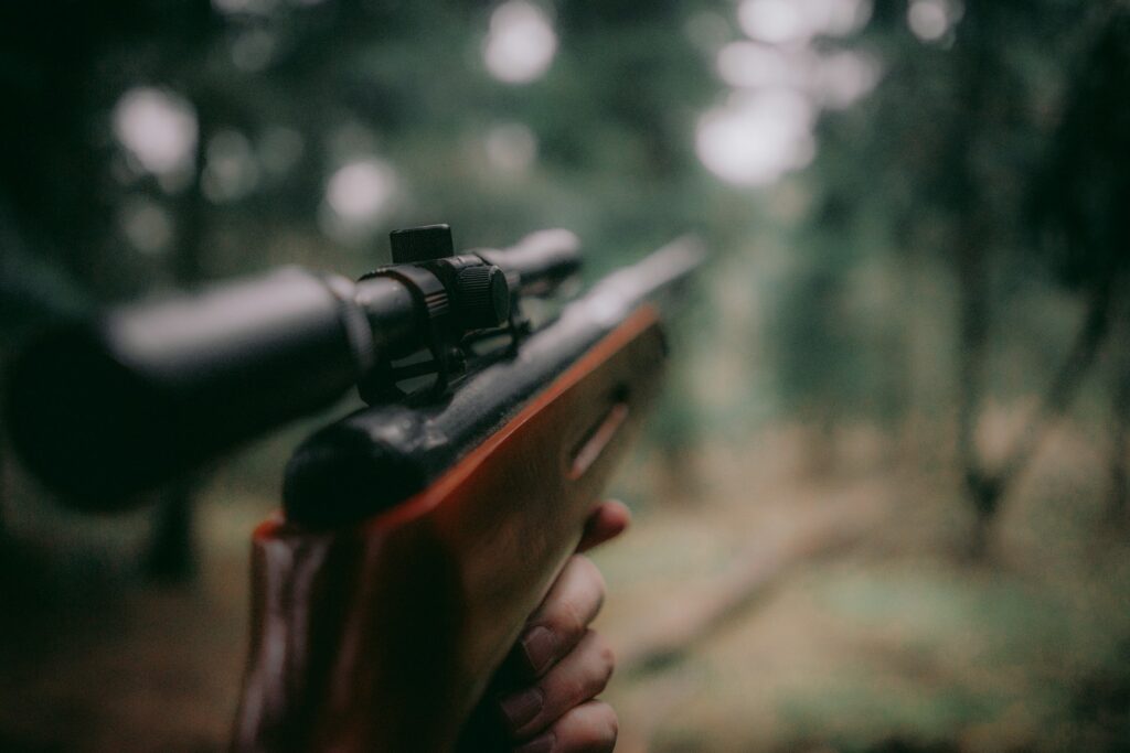 sebastian pociecha z40sru0ugck unsplash